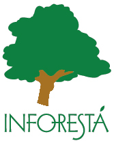 株式会社インフォレスタ